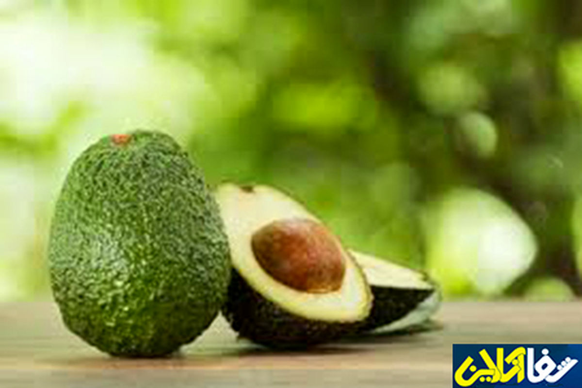 دانستنیهای جالبی درباره میوه اسرارآمیز؛ تجمع چربی خوب در محصول مکزیکی
