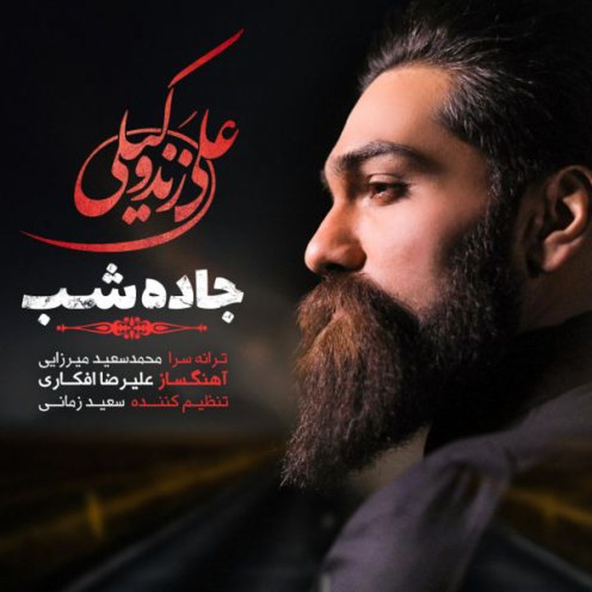 آهنگ جدید علی زندوکیلی به نام جاده شب