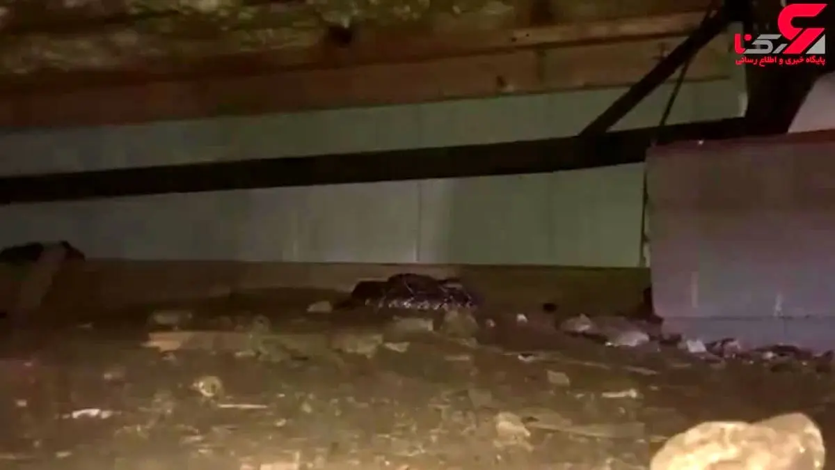 مرد جوان هنگامی که وارد زیرزمین خانه اش شد شوکه و وحشت زده فرار کرد