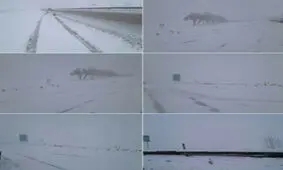 بارش شدید برف نوروزی در خراسان شمالی