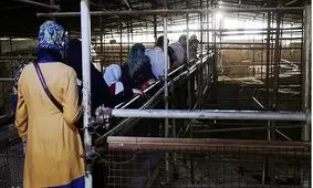 تپه هگمتانه گنجینه‌ای ارزشمند در همدان/ تاریخی نهفته در دیار ماد