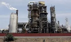 روغن سازها با لابی‌گری به دنبال سود بیشتر هستند