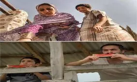 از نزدیکی علف زار به فروش یک میلیاردی تا فروش 3 رقمی یک فیلم

