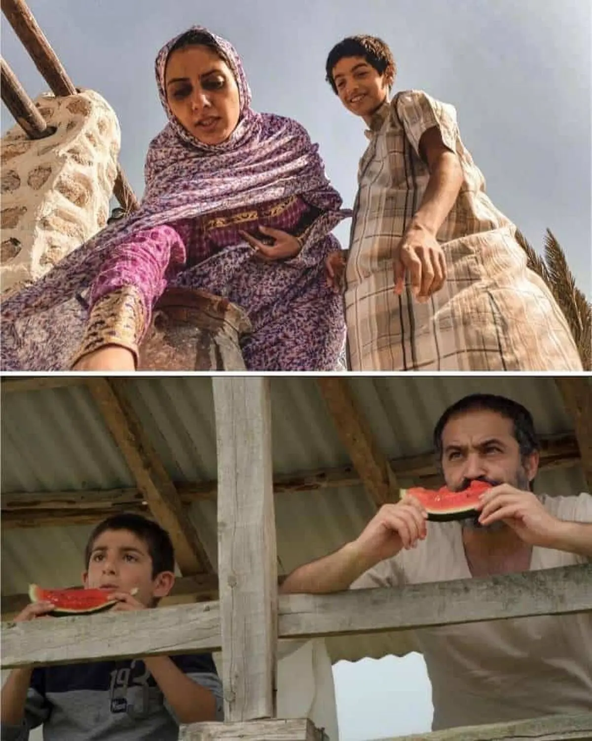 از نزدیکی علف زار به فروش یک میلیاردی تا فروش 3 رقمی یک فیلم

