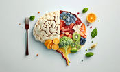 ۴ ماده غذایی مفید برای حفظ سلامت و حجم مغز