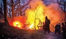 عامل آتش سوزی جنگل‌های هیرکانی در بابل دستگیر شد