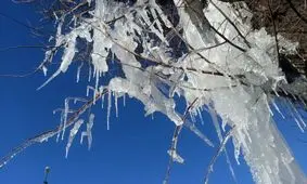 یخبندان در ۱۰ استان و آلودگی هوای ۷ کلان‌شهر