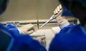 شباهت علائم آبله میمونی و آبله مرغان