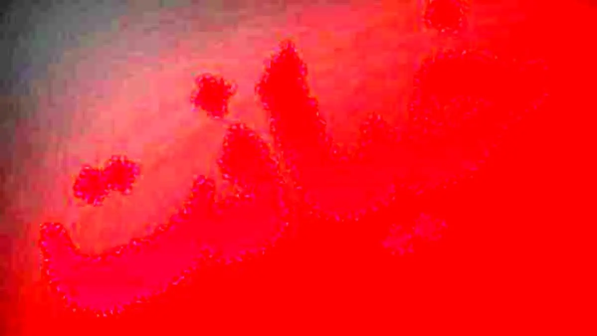 شوهرم را تعقیب کردم / او با آیدا رابطه پنهانی داشت