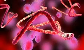 خطرناک‌ترین ویروس‌های جهان را بشناسید