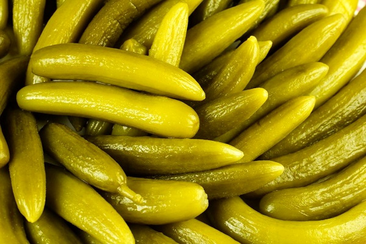خواص شگفت انگیز خیارشور برای سلامتی که از آنها بی اطلاعید