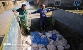 قهرمانان ورزشی مازندران برای کمک به سیل‌زدگان وارد گود شدند