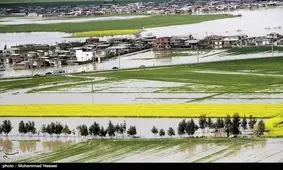 سیل ۱۶۴۰ میلیارد تومان به کشاورزی گلستان و مازندران خسارت زد