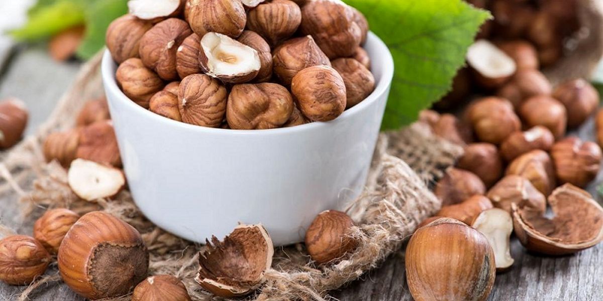 ۸ خاصیت بینظیر فندق
