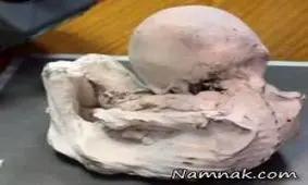 کشف بچه موجود فرازمینی داخل یک قبر!! + عکس