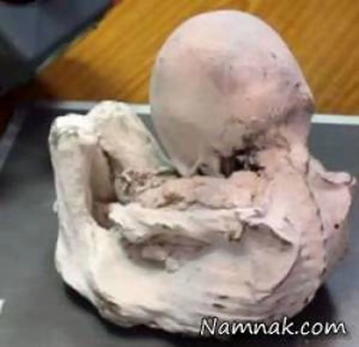 کشف بچه موجود فرازمینی داخل یک قبر!! + عکس