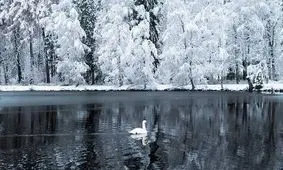 قابی متفاوت از سرزمین هزار دریاچه