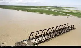 سیل به ۵۰ هزار هکتار از مزارع گندم و کلزای استان گلستان خسارت زد