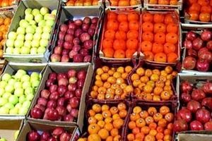 نکاتی که باید در هنگام مصرف میوه‌ها رعایت شوند