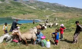 انتقال بیش از ۲۶ خانوار عشایری در معرض خطر سیل کهگیلویه و بویراحمد به نقاط امن