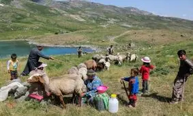 انتقال بیش از ۲۶ خانوار عشایری در معرض خطر سیل کهگیلویه و بویراحمد به نقاط امن
