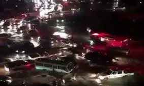 سیل جعلی در کیش! +فیلم