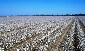 گرانی پوشاک به بهانه سیل گلستان توجیه پذیر نیست