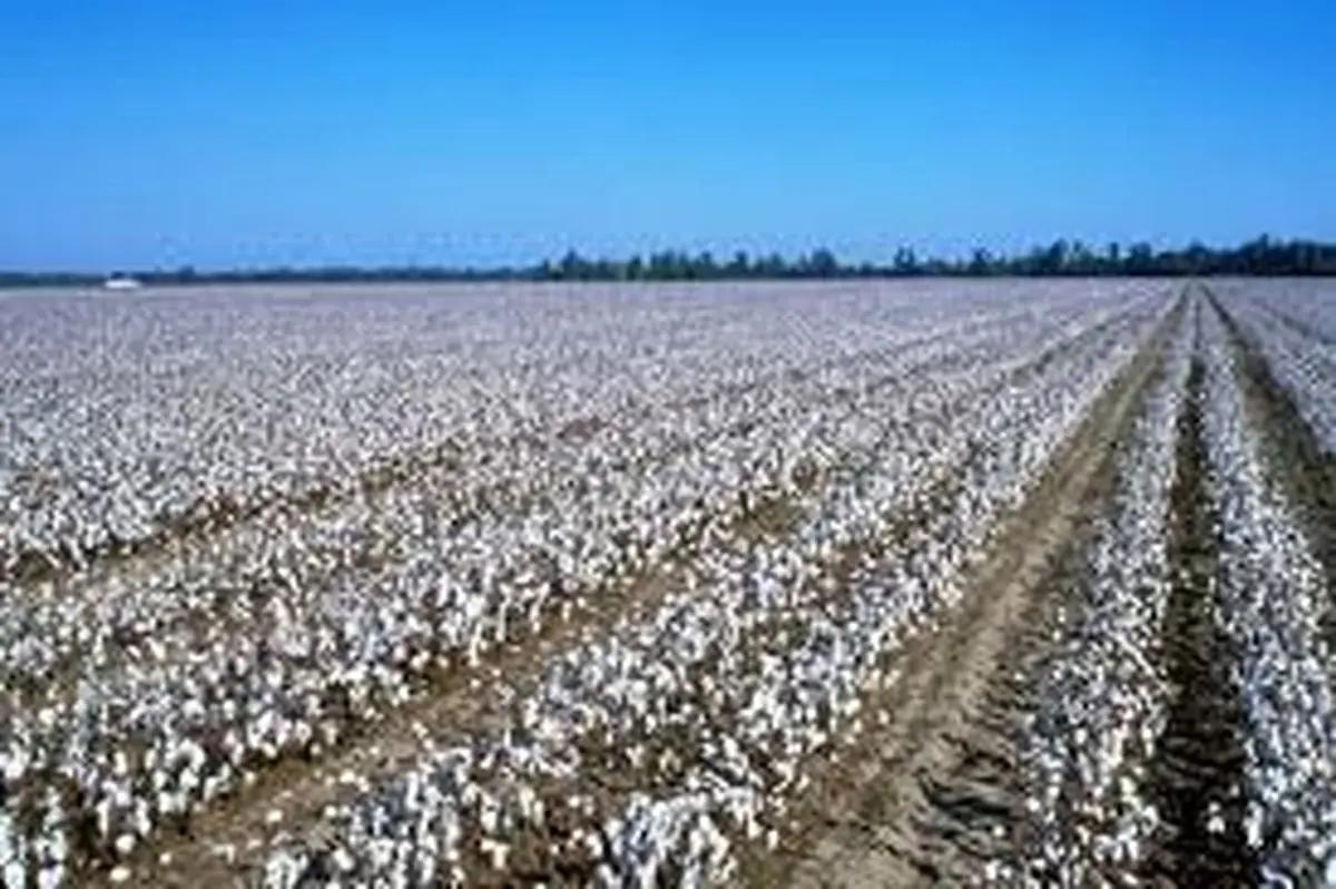 گرانی پوشاک به بهانه سیل گلستان توجیه پذیر نیست