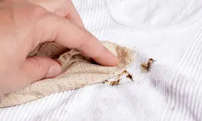 ترفندهای طلایی برای تمیز کردن لکه شکلات از روی لباس و فرش