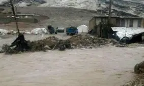 سیل ۵۸ میلیارد به عشایر پلدختر خسارت وارد کرد