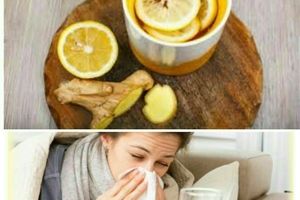 درمان تب و لرز با لیمو