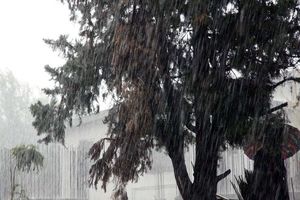 بارش باران شدید از ساعت ۱۶ در تهران آغاز می شود