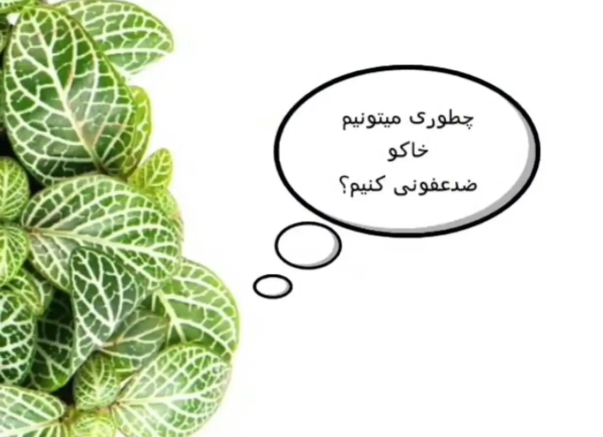 نحوه ضدعفونی کردن خاک گلدانها