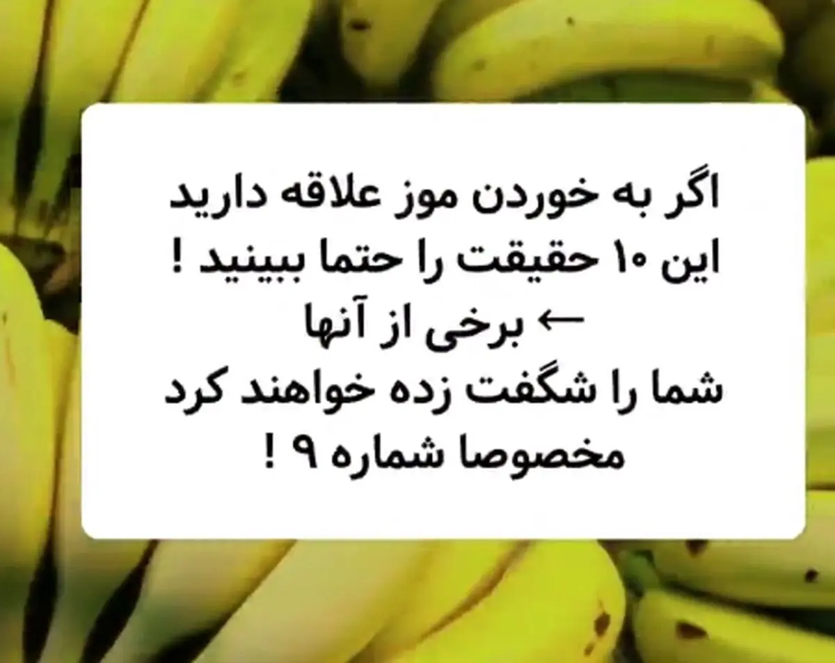 10 حقیقت باور نکردنی در مورد موز که احتمالا شما هم نمیدانستید
