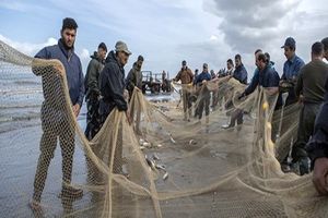 صید ماهی در دریای مازندران از مرز 6 هزار تن گذشت/ صیادان 15 فروردین ماه 98 تورهای خود را از دریا جمع می‌کنند