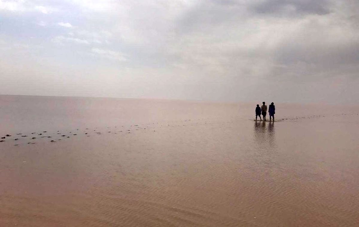 تالاب جازموریان آبگیری شد