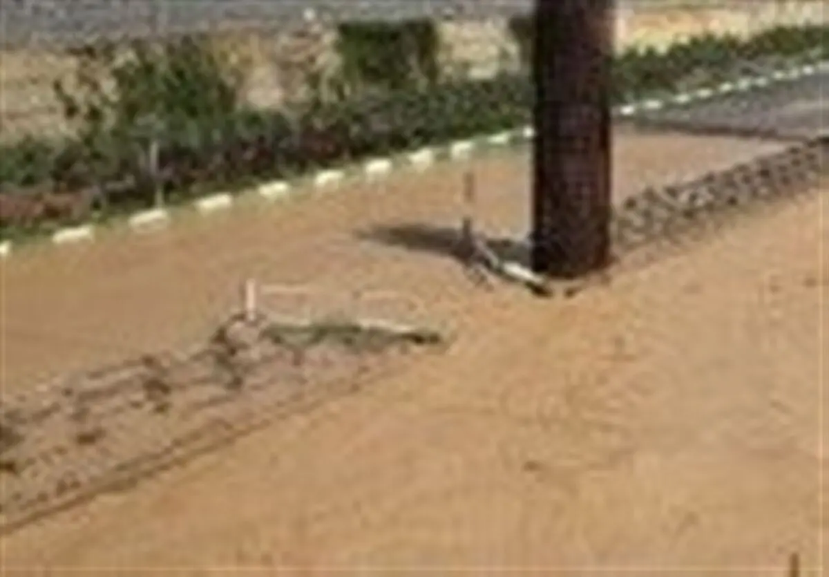 خسارت ۳۵ میلیارد تومانی سیلاب به شهرستان کوهدشت
