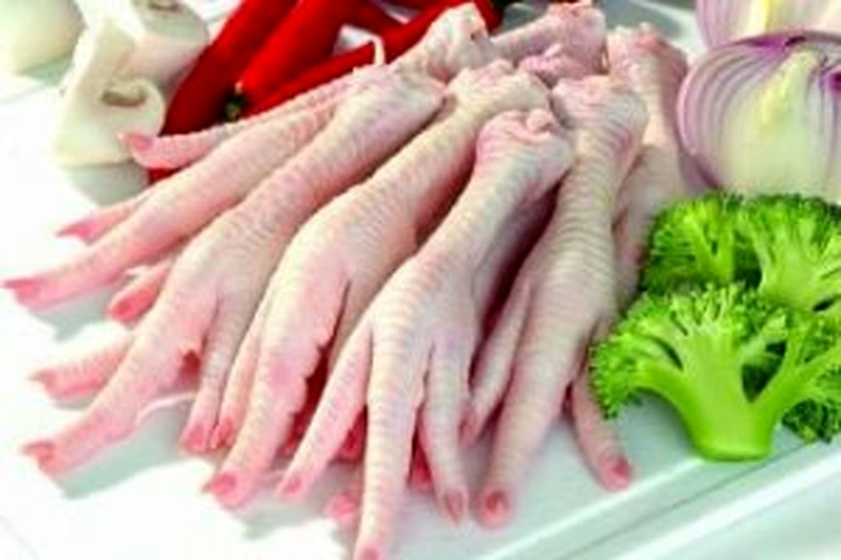 خوردن پای مرغ برای درد پا مفید است؟ / تق تق زانو در این موقع خطرناک می شود