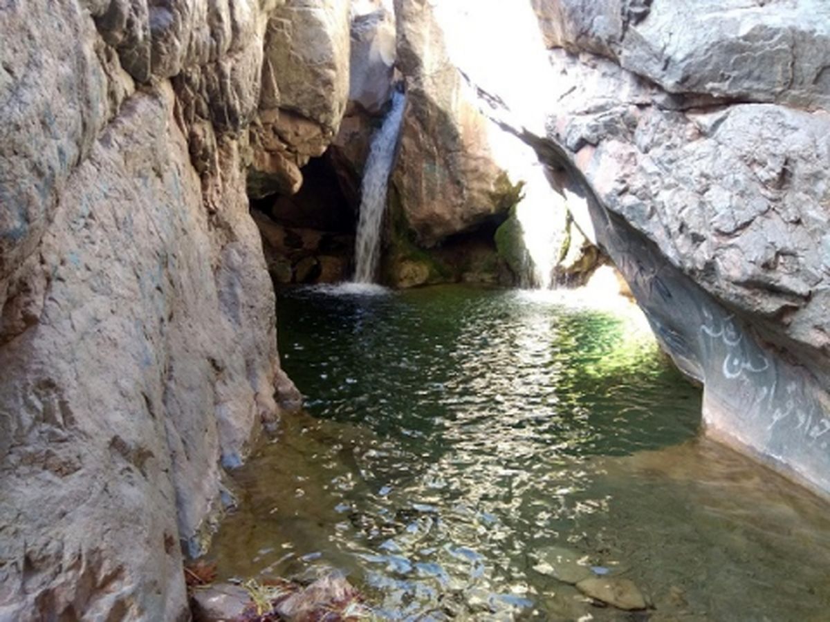 دیار تاکستانهای سرسبز چشم به راه مسافران نوروزی