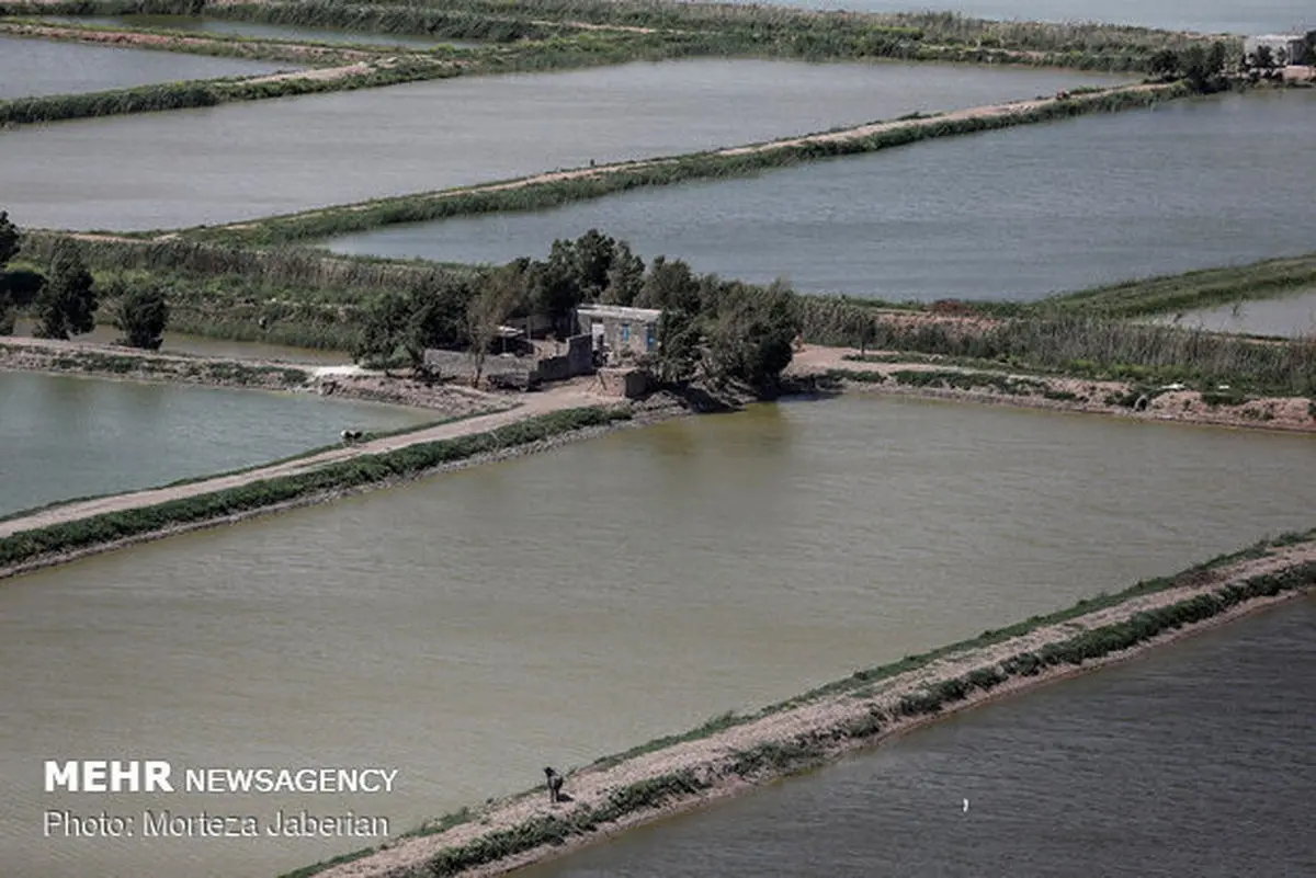 تمهیدات درحوزه ورود سیلاب اندیشیده شده است/آب اندیمشک قطع نمی‌شود