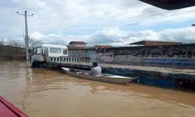 هجوم مارهای سمی و خطرناک در سطح شهر آق قلا+ویدئو