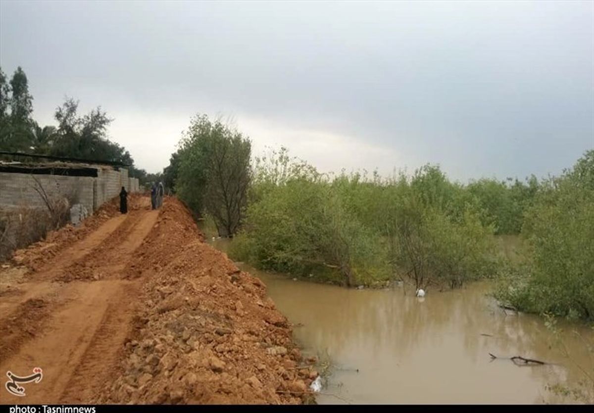 جاری شدن سیل در کیار/ ۵۰۰ تن ماهی تلف شد