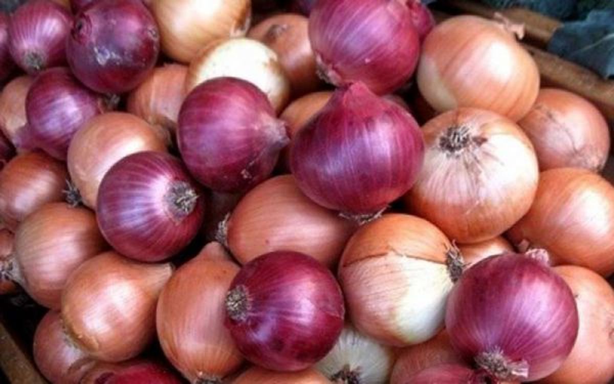 تعبیرهای کاربران مجازی از قیمتهای مختلف پیاز / از پیاز نقدی تا پیاز جهانگیری و نیمایی