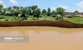 خسارتِ ۳۵۰ میلیارد ریالی سیل به کشاورزی اصفهان