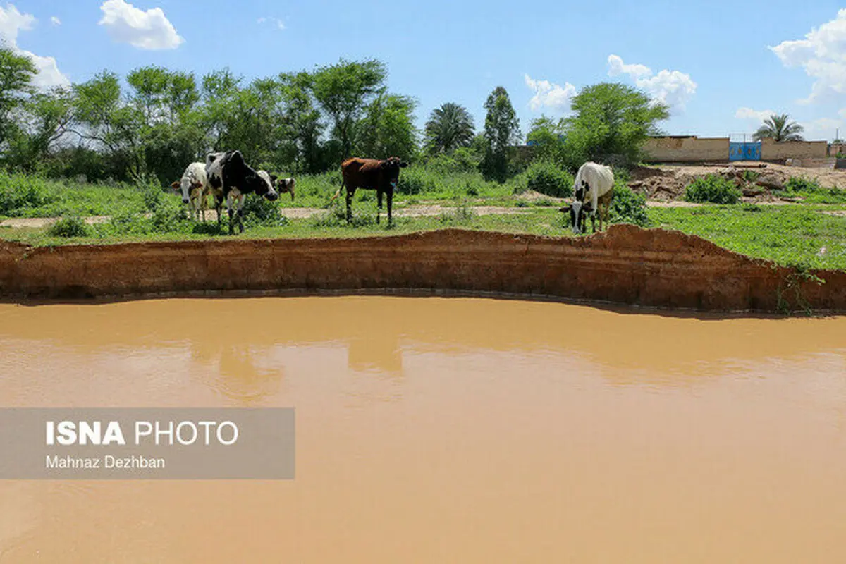 خسارتِ ۳۵۰ میلیارد ریالی سیل به کشاورزی اصفهان