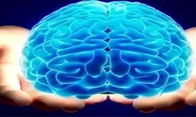 مغزتان را سالانه چکاپ کنید