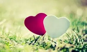 معرفی چند ترفند کاربردی برای تجربه تعطیلات عالی در خانه