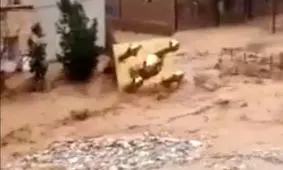 خسارت سیل به یک امامزاده+ویدئو