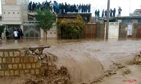 هشدار هجوم مارهای سمی به مناطق سیل زده گلستان/ در صورت مشاهده مار چه کار کنیم؟