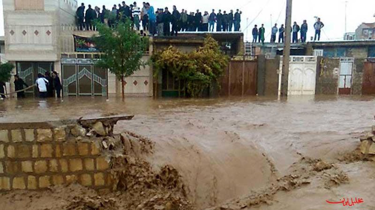 هشدار هجوم مارهای سمی به مناطق سیل زده گلستان/ در صورت مشاهده مار چه کار کنیم؟